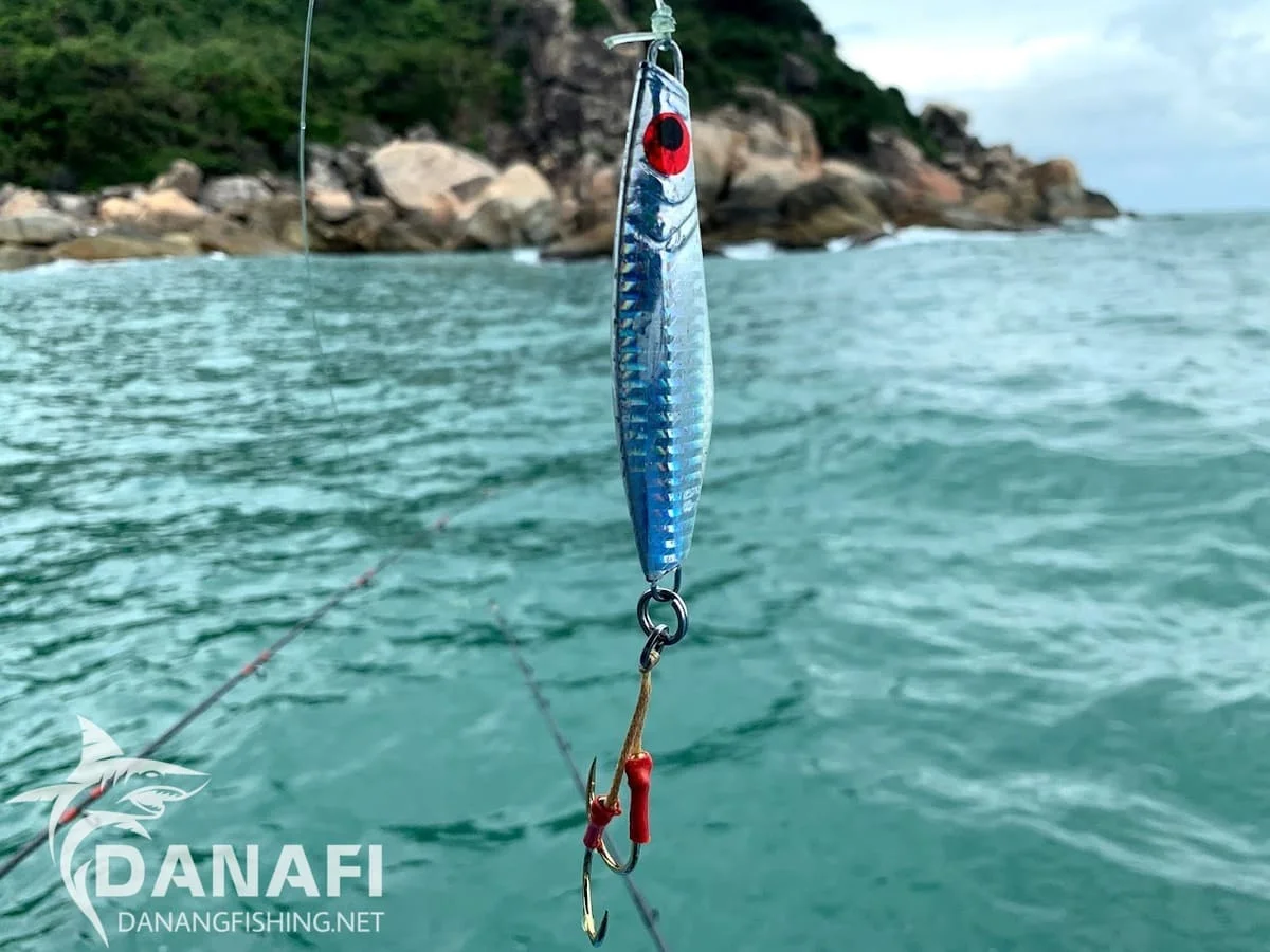 Tour Câu Cá Chuyên Nghiệp Biển Đà Nẵng